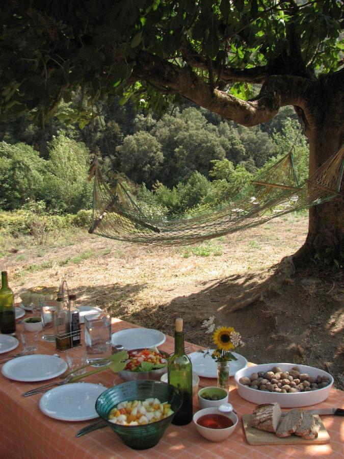 Aiguafreda Bed And Breakfast Casanova De Sant Miquel מראה חיצוני תמונה