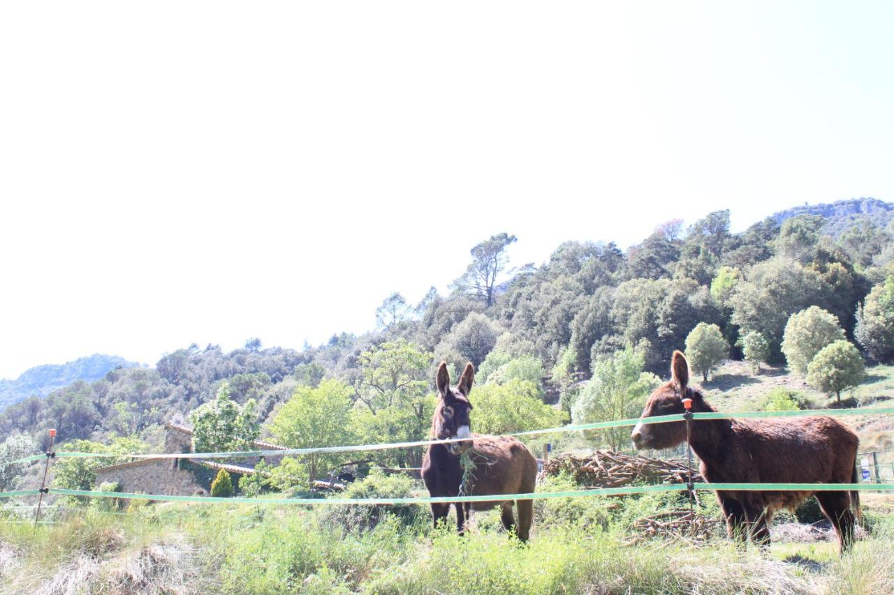 Aiguafreda Bed And Breakfast Casanova De Sant Miquel מראה חיצוני תמונה
