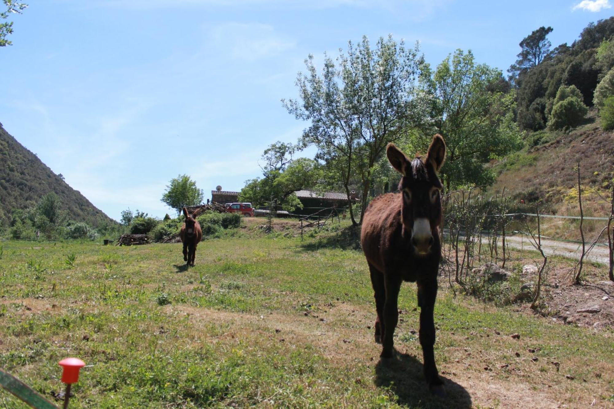 Aiguafreda Bed And Breakfast Casanova De Sant Miquel מראה חיצוני תמונה